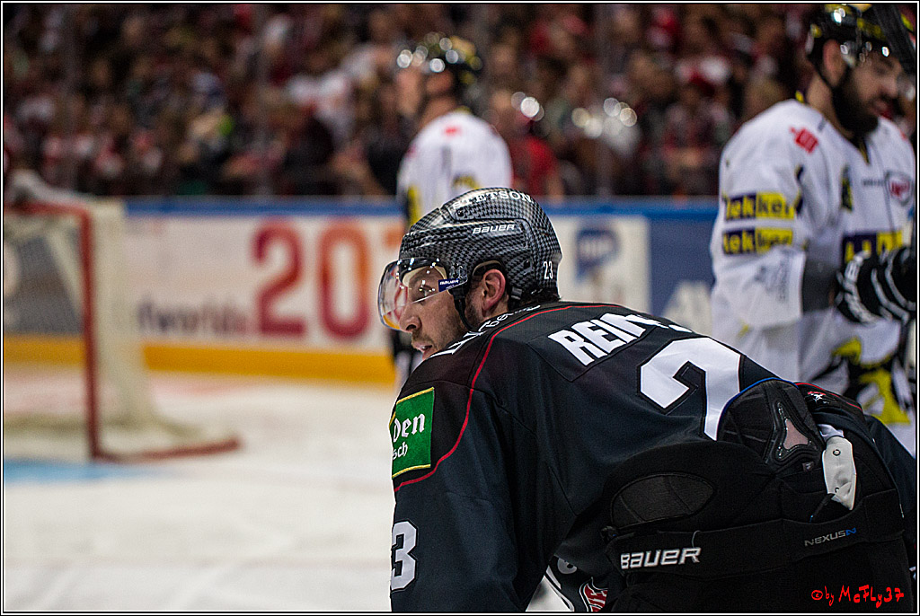 Koelner Haie - Krefeld Pinguine , 23.09.16(KW38)